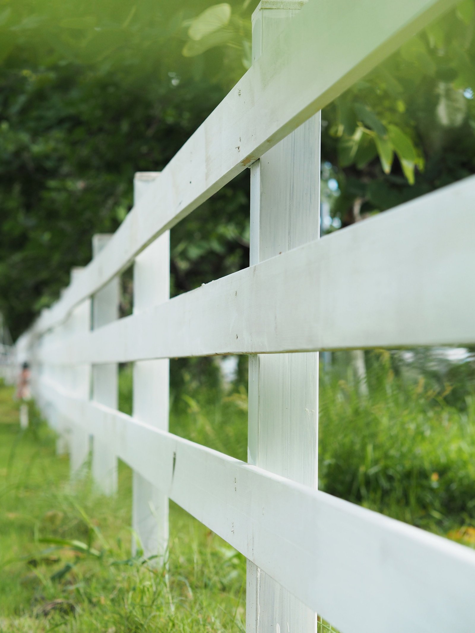 Fence Painting Project